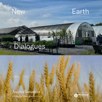Cover Image for New Earth Dialogues with Jeff Tkach, CEO of Rodale Institute
