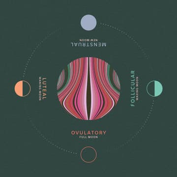 Cover Image for Cycle Wisdom Workshop