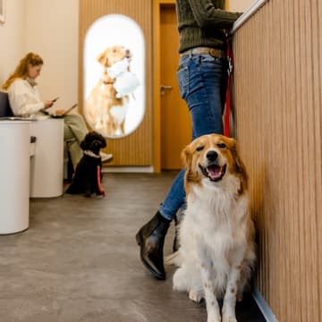 Cover Image for Tag der offenen Tür | Rex Tierarztpraxis München Poccistraße