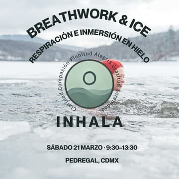 Cover Image for ❄️ Breath & Ice: Respiración profunda e inmersión en hielo
