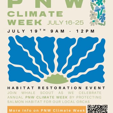 Cover Image for Volunteer to Restore Salmon Habitat with Whale Scout!