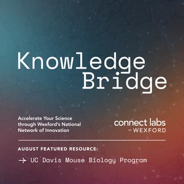 Cover Image for Knowledge Bridge