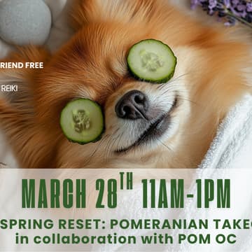 Cover Image for Pawsitive Vibes: Pom Yoga & Reiki A Pomeranian Takeover in collaboration with POM OC