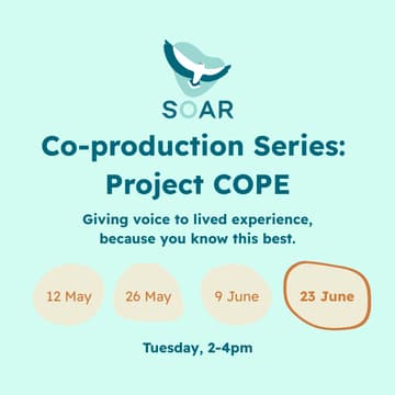Cover Image for [4/4] Co-producing Project COPE's support group sessions