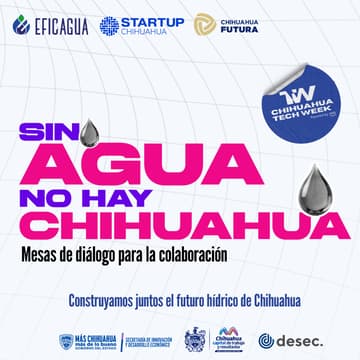 Cover Image for Sin Agua, no hay Chihuahua