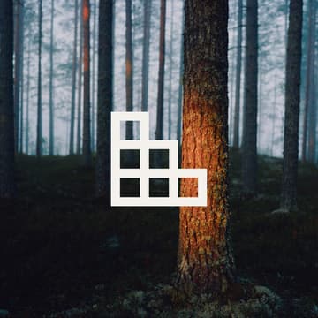 Cover Image for Kriittisen AI-osaamisen tunnistaminen ja kehittäminen