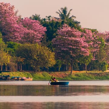 Cover Image for Where Fashion Meets the Algorithm