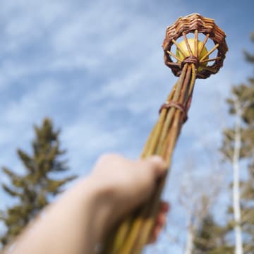 Cover Image for Weaving a Willow Apple Picker