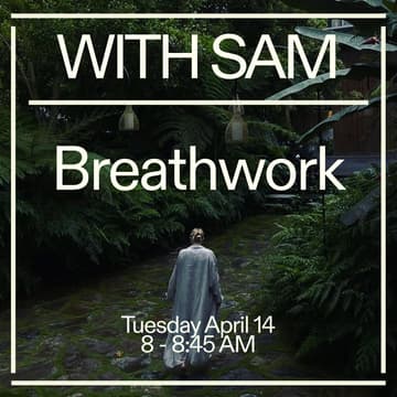 Cover Image for Somatic Breathwork with Sam ✨