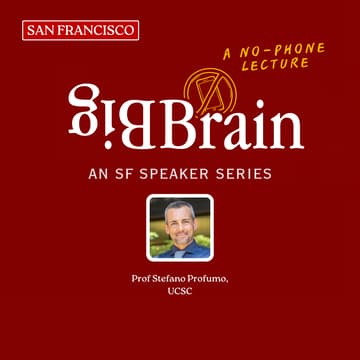 Cover Image for Dark Matter and Black Holes