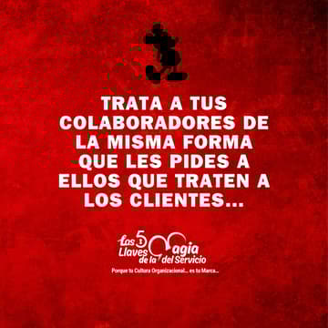 Cover Image for La magia detrás del servicio al cliente ✨