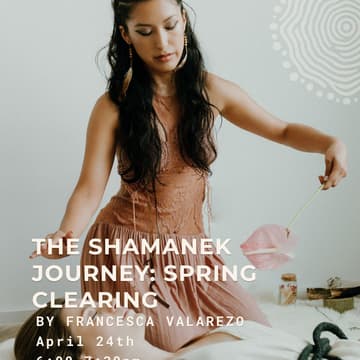 Cover Image for The Shamanek Journey