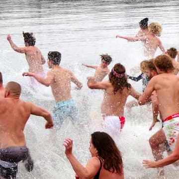 Cover Image for NEREID Polar Plunge