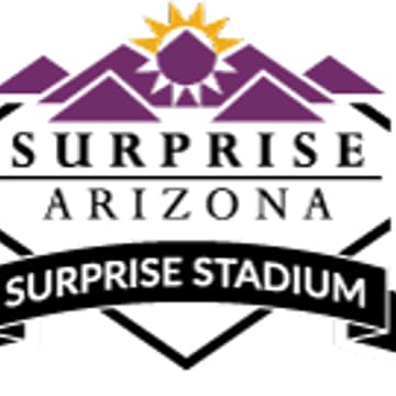 Cover Image for Student Social - Spring Training