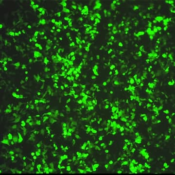 Cover Image for Lambda Hack Basel — a one-day hackathon in Basel's most advanced and affordable DIY Laboratory