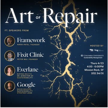 Cover Image for The Art of Repair