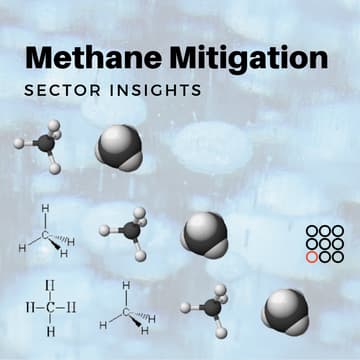Cover Image for Sector Insights: Methane Mitigation