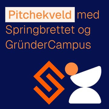 Cover Image for Pitche-kveld