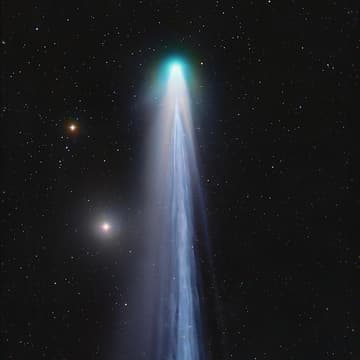 Cover Image for You are art.