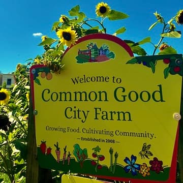 Cover Image for Seedling Celebration