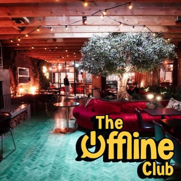 Cover Image for Offline Hangout 📵 (board & card games Sunday) | Marlin indoor garden