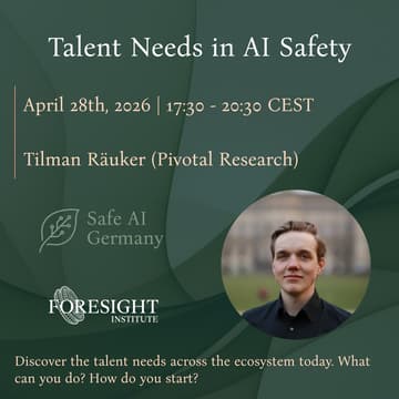 Cover Image for Talent Needs in AI Safety - Tilman Räuker