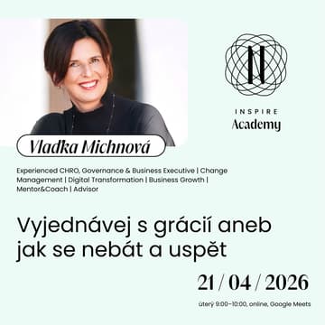 Cover Image for Vyjednávej s grácií aneb jak se nebát a uspět (Vlaďka Michnová)