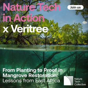 Cover Image for From Planting to Proof in Mangrove Restoration: Lessons from East Africa
