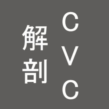 Cover Image for 【CVC”解剖”シリーズ】MOL PLUS（商船三井）×パナソニック（5/28木）