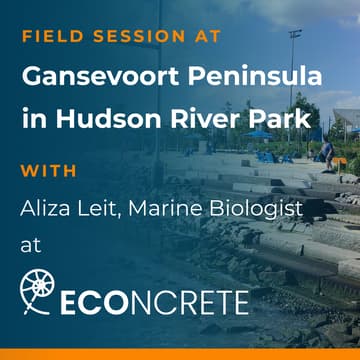 Cover Image for Field Session: Reimagining Urban Waterfronts for Ecological Outreach & Resilient Communities