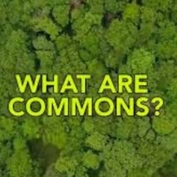 Cover Image for Intro into commons - the commons game 🎣