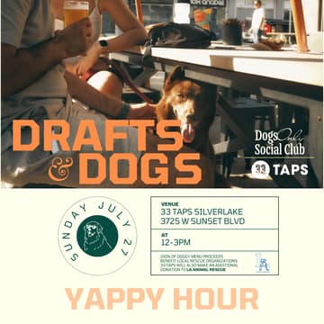 Cover Image for Drafts & Dogs