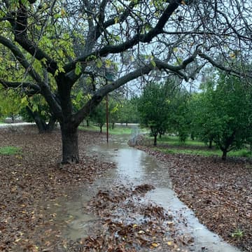 Cover Image for Water Cycle Restoration & Earthworks Course