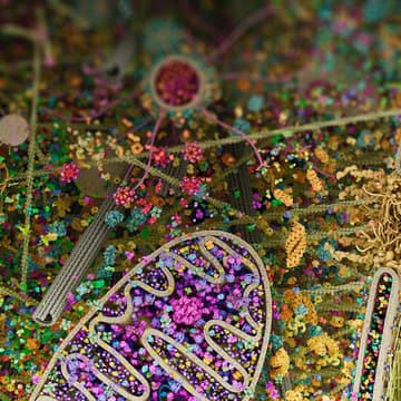 Cover Image for Bio-Frontiers Month