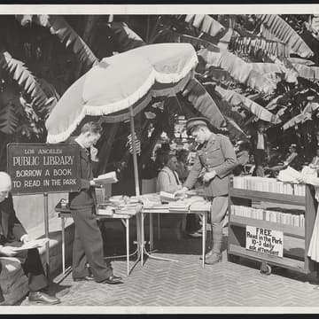 Cover Image for Giulia Taurino on AI and Photograph Collections