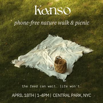 Cover Image for Phone-Free Nature Walk & Picnic