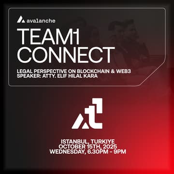 Cover Image for Avalanche Team1 Connect - Istanbul, Turkiye