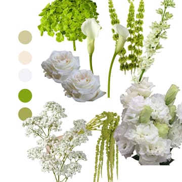 Cover Image for "Modern Green + White" Floral Workshop