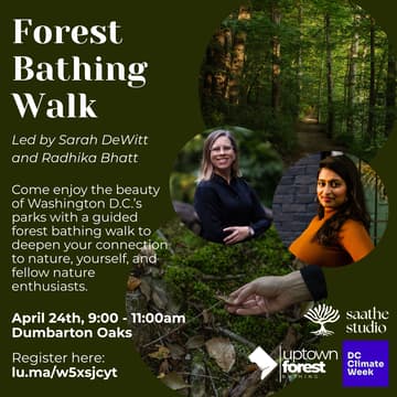 Cover Image for Second Annual Forest Bathing Walk (DC Climate Week)