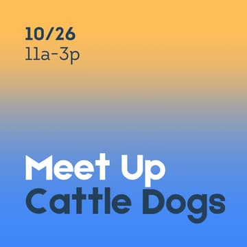 Cover Image for Cattle Dog Meet Up