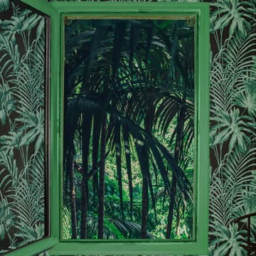 Cover Image for OPENING LETIZIA LE FUR