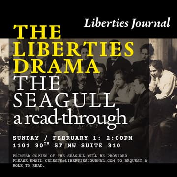 Cover Image for THE SEAGULL: a read through