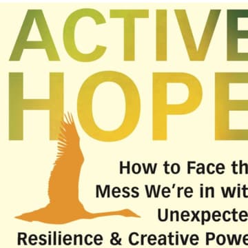 Cover Image for L’espérance en mouvement (Active Hope)