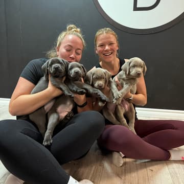 Cover Image for AfroPuppyYoga -📍Kitchener - 🐶