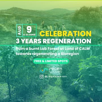Cover Image for OPEN CELEBRATION - 3 YEARS REGENERATION