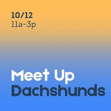 Cover Image for Dachshunds Meet Up