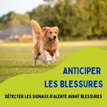 Cover Image for Detecter les signaux d'alerte avec une blessure