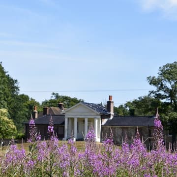 Cover Image for Wanstead Park Bluebell Walk🪻