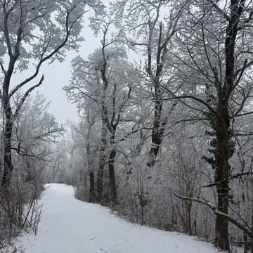 Cover Image for Big Hike - Vöslauer Hütte