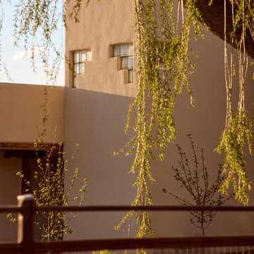 Cover Image for Plein Air Open Studio with Johnny Defeo